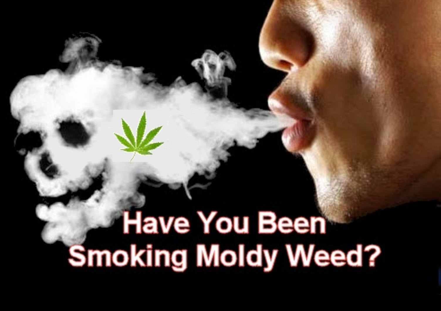 Have You Been Smoking Moldy Weed?