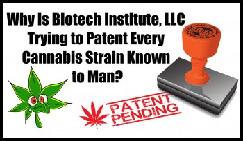 Why is Biotech Institute, LLC Trying to Patent Every Cannabis Strain Known to Man?