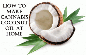 How Do You Make Cannabis Coconut Oil and Why Would You?