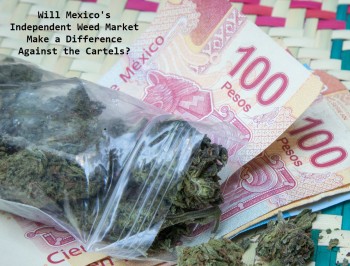 Will Mexico's Independent Weed Market Make a Difference Against the Cartels?