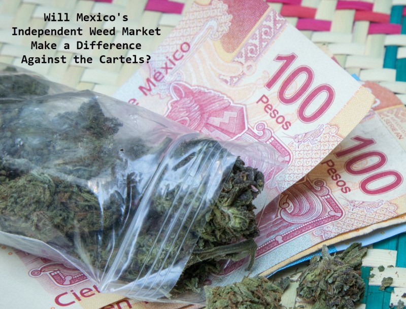 legal marijuana markets vs cartels in Mexico