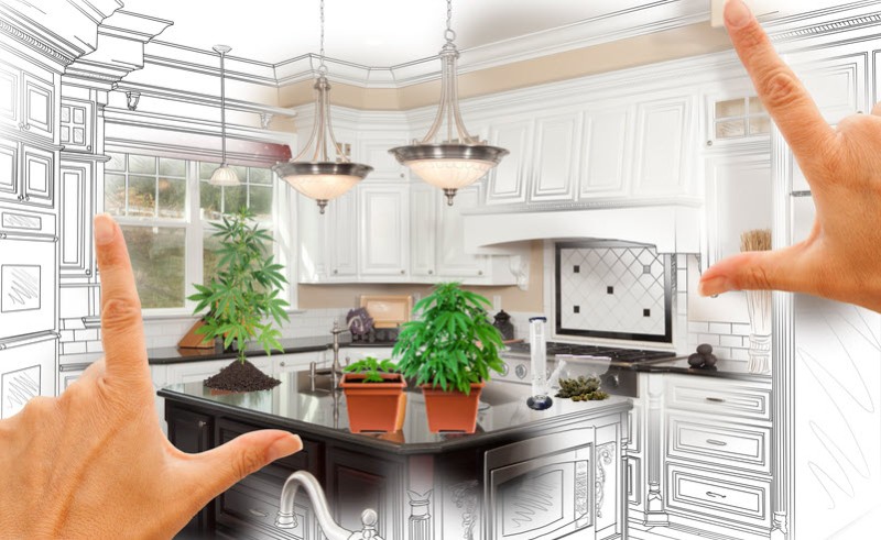 growing weed in your kitchen only