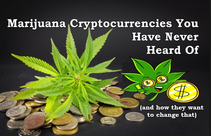 cannabis crypto