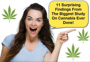 11 Surprising Findings From The Biggest Study On Cannabis Ever Done