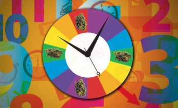 When is the Best Time of Day to Take Medical Cannabis?