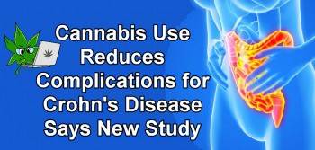 Cannabis Use Reduces Complications for Crohn's Disease Says New Study