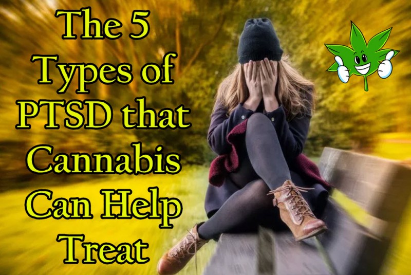 cannabis for PTSD types