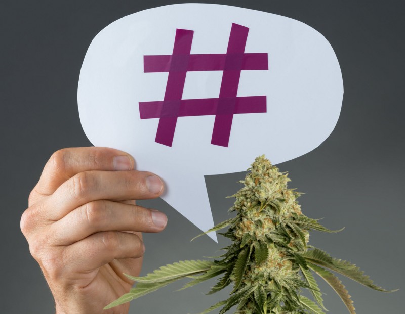 trending in cannabis