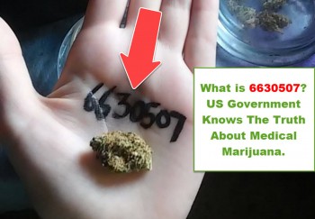 US Government Caught In A Medical Marijuana Lie
