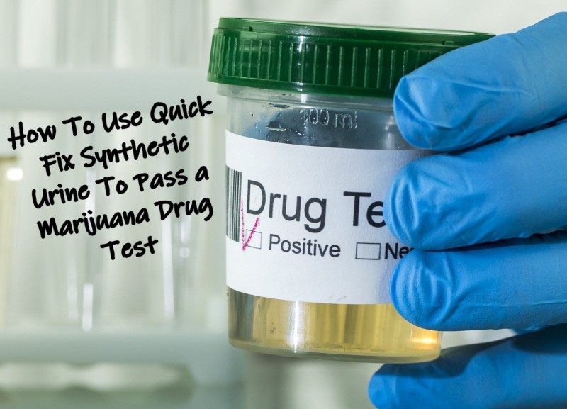 How To Use Quick Fix Synthetic Urine To Pass A Marijuana Drug Test