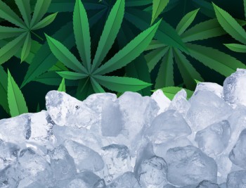 Should You Freeze Your Weed Down to -320°F to Kill Mold and Save a Ton of Money?