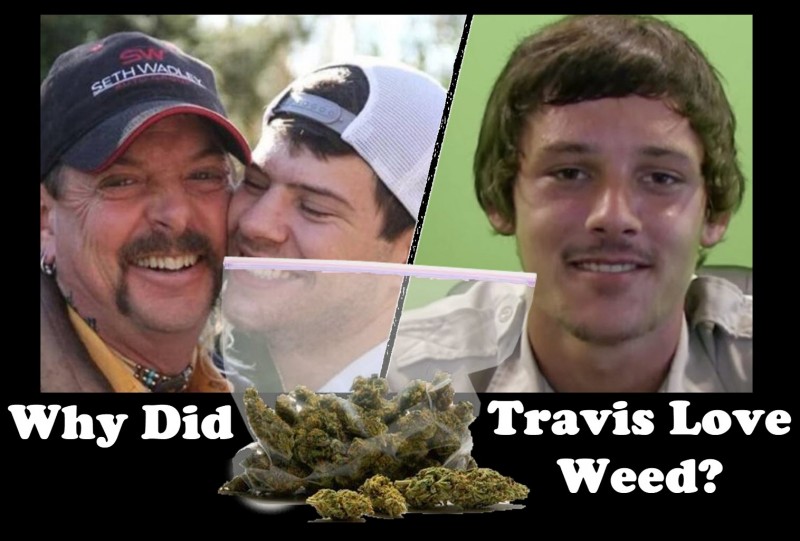 Travis Tiger King Weed