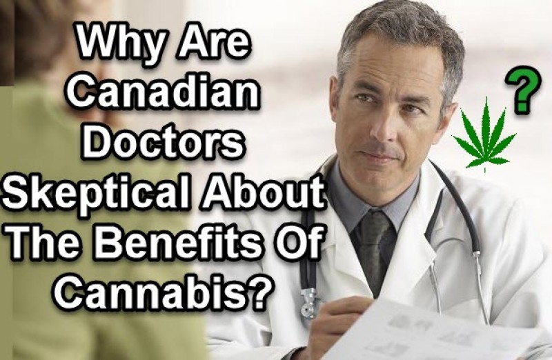 Canadian doctors on cannabis