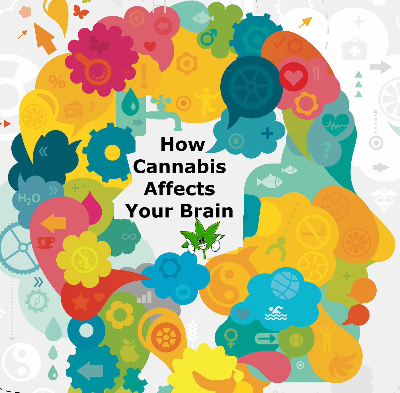 From The Neck Up - How Cannabis Affects Your Brain