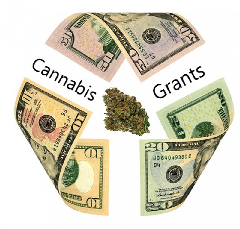 marijuana grants