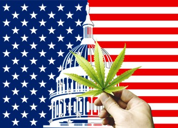 Profits over People - The US Cannabis Industry is All About Making Money and Not Public Health Says New Report