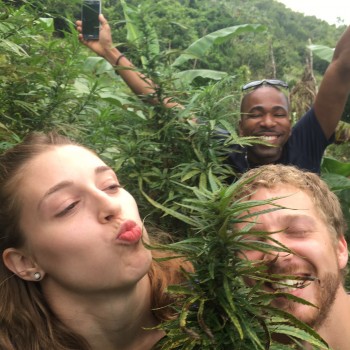 How Do You Win a Free Jamaican Ganja Vacation with All the Weed You Want?