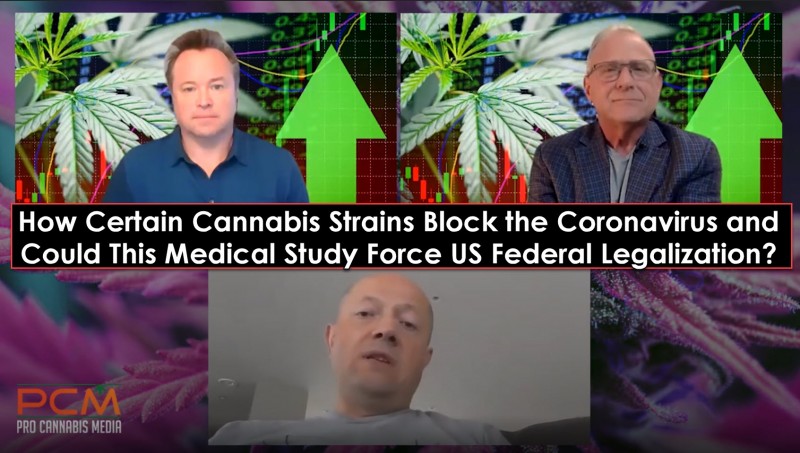 cannabis for the coronavirus COVID-19