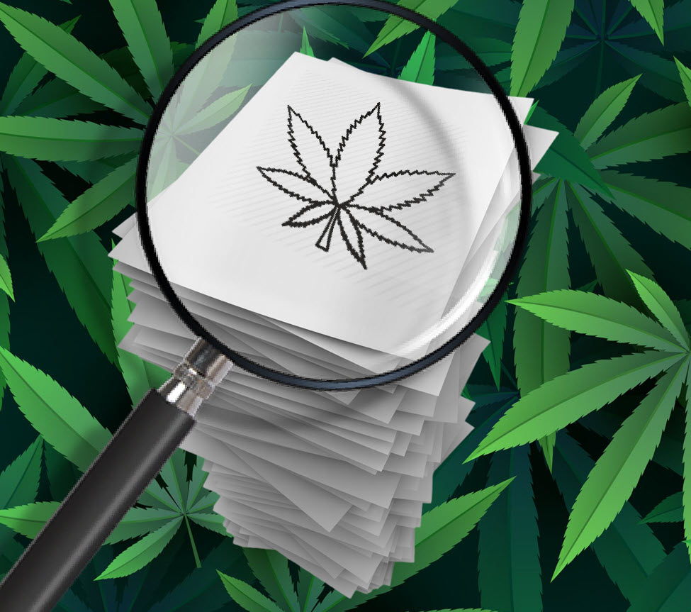 Over 32,000 Cannabis Studies Have Been Published In The Last 10 Years ...