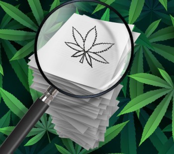 Over 32,000 Cannabis Studies Have Been Published in the Last 10 Years - Dispelling the Myth of Not Enough Research