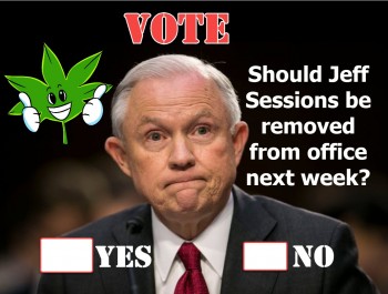 Why Democrats Love That Jeff Sessions is Going After Weed
