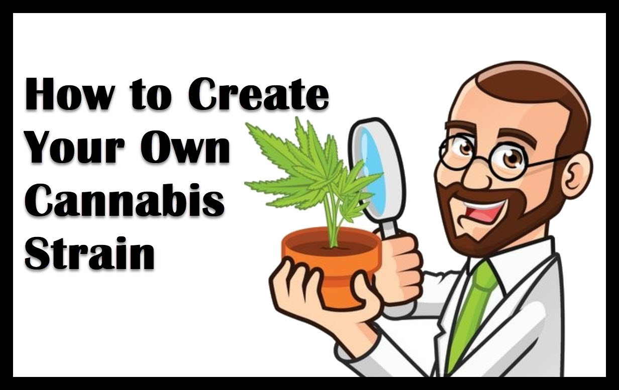 Chart On How To Create Your Own Strain