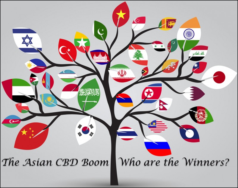 Asian CBD market leaders