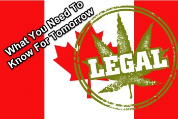 Canada Legalizes Recreational Marijuana - What You Need To Know Today