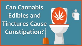 Can Cannabis Edibles and Tinctures Cause Constipation?