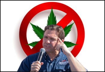 Why Does Presidential Candidate Ron DeSantis Hate Weed So Much?