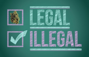 How Can You Tell Legal from Illegal Dispensaries in California