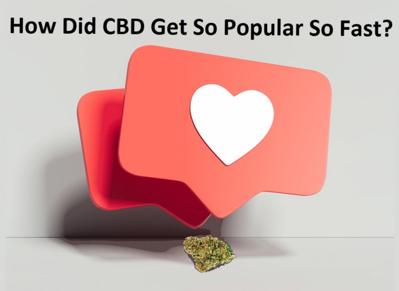 How did cbd get so popular