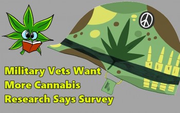 Military Vets Want More Cannabis Research Says Survey