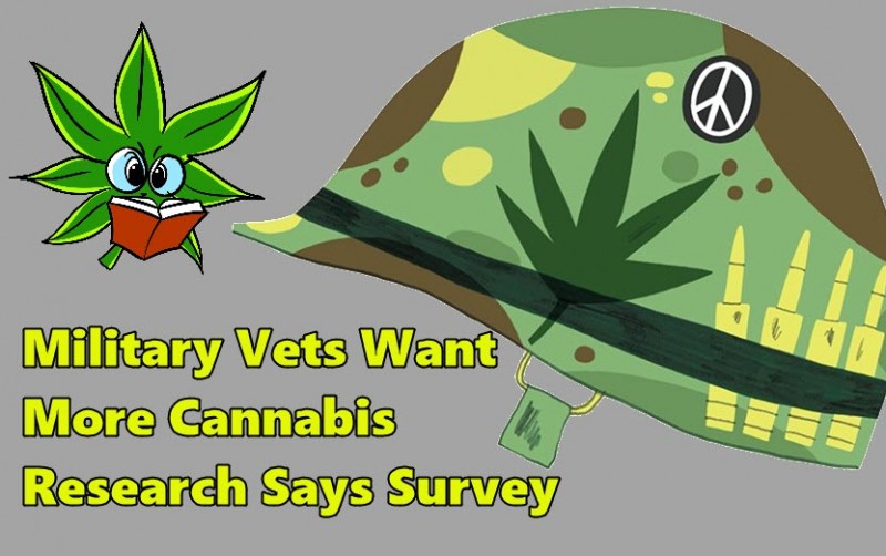 Veterans for medical marijuana