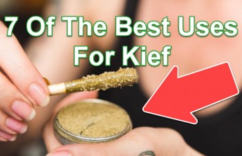 7 Of The Best Uses For Kief