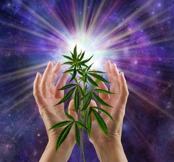 Cannabis and the Current Spiritual Evolution - Is Weed Good or Bad for a Spiritual Awakening?