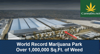 World Record Marijuana Park Coming In 2017