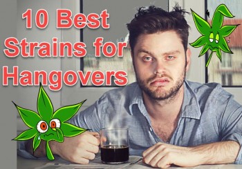 10 Best Cannabis Strains for Hangovers