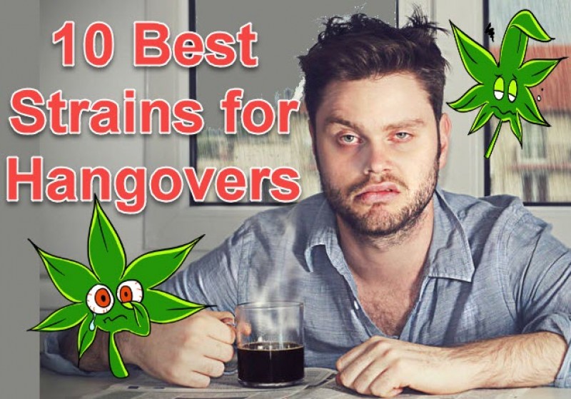 Best Hangover Cannabis Strains