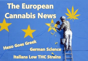 The Weekly European Cannabis News Update