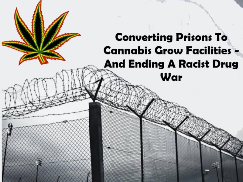 prison to cannabis
