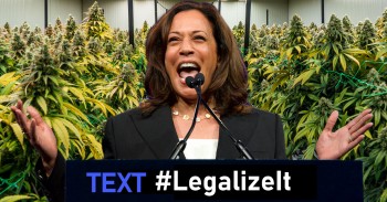 Kamala Harris: We Need to Legalize Weed and Decriminalize Smoking It