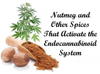 Nutmeg and Other Spices That Activate the Endocannabinoid System
