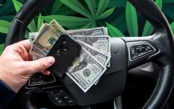 Crossing State Lines to Buy Much Cheaper Weed? You Bet, 90% of Virginia MMJ Patients Get Their Cannabis from Other Sources
