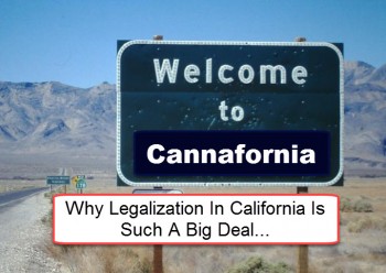 Seeing Green: Why Legalization In California Is Such A Big Deal