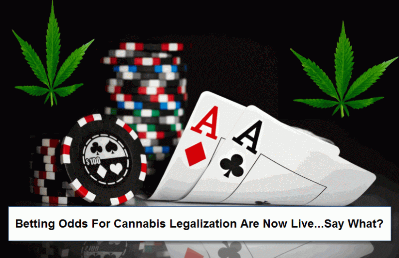 Betting On Cannabis