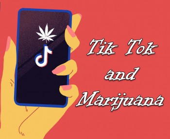 Tik Tok and Weed - Can You Do Cannabis on Tik Tok?