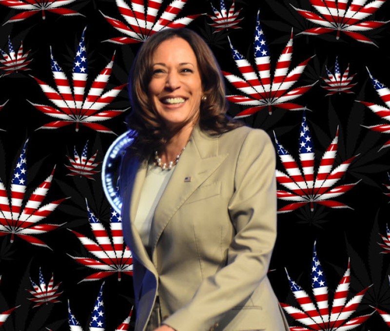 Kamala Harris will legalize weed