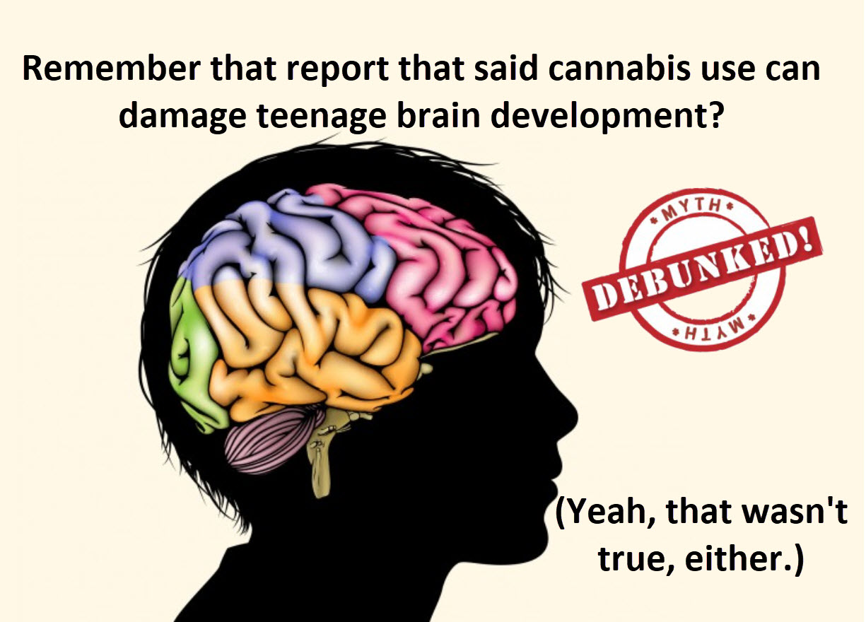 Teenage brain development