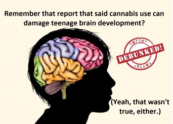 Study Says Cannabis’ Effects On Young Brains Subside After 72 Hours